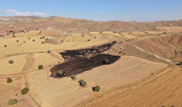 Çocukların ateşle oyunu pahalıya mal oldu, 50 dönüm buğday tarlası kül oldu