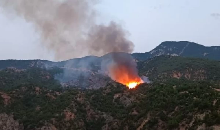 Çorum’da orman yangını