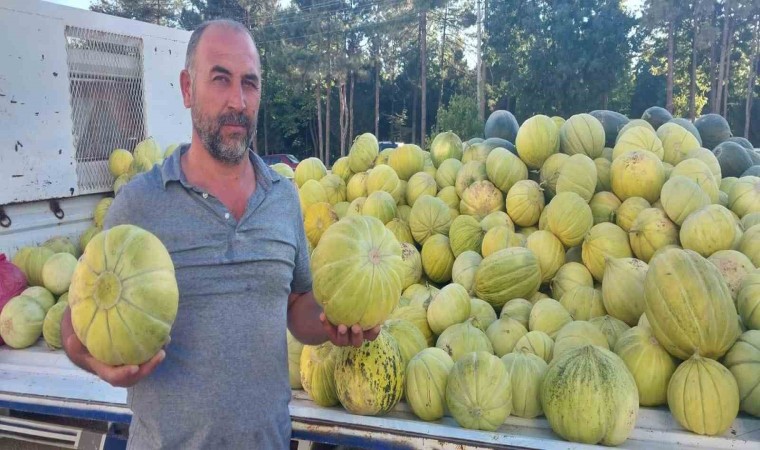 Çorumun meşhur 10 dilim kavunu tezgahlarda yerini aldı