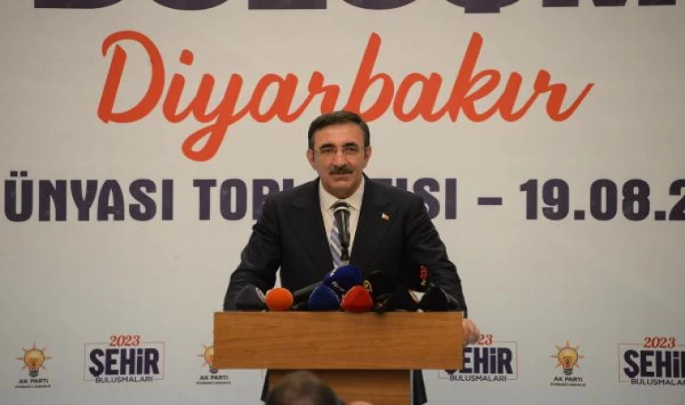 Cumhurbaşkanı Yardımcısı Yılmaz: Hiçbir terör örgütünün gücü annelere yetmez (3)