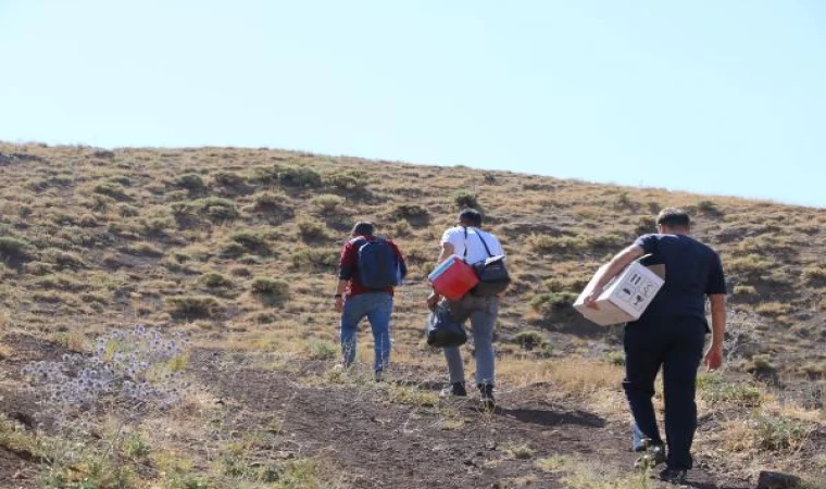 Dağları tepeleri aşıp, şap aşısı yapan ekibe, DHA da eşlik etti