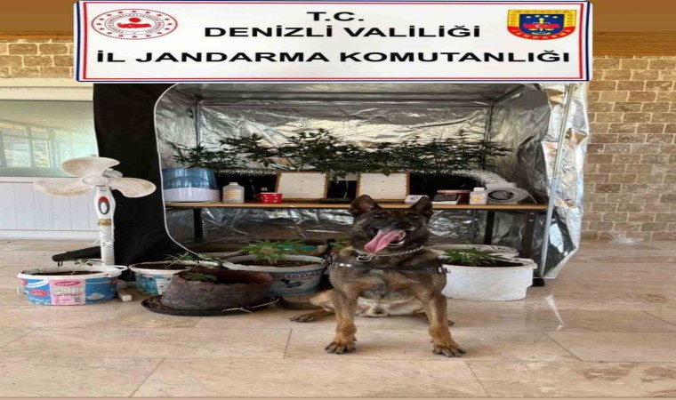 Denizlide 5 uyuşturucu satıcısı tutuklandı