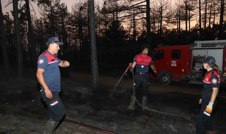 Denizlide orman yangınında 20 hektar alan kül oldu