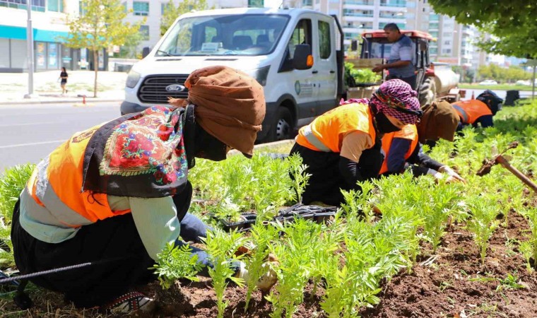 Diyarbakırda 1 milyon 520 bin çiçek toprakla buluştu