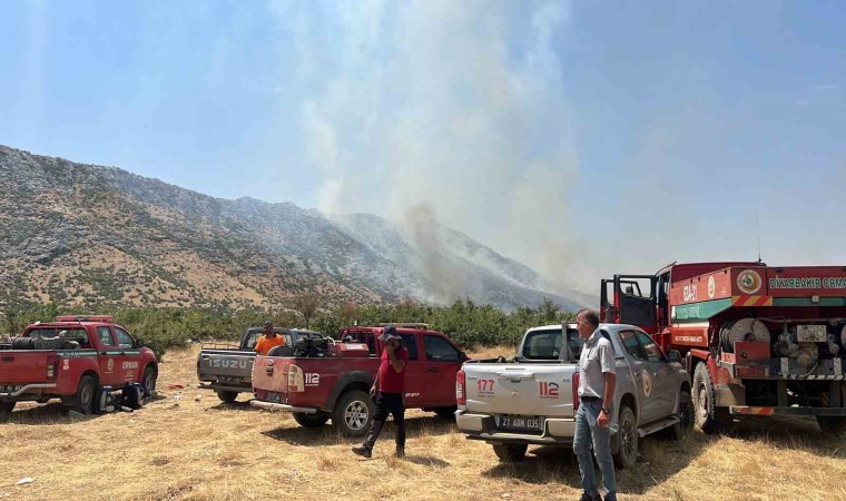 Diyarbakırda orman yangını: Havadan ve karadan müdahale sürüyor