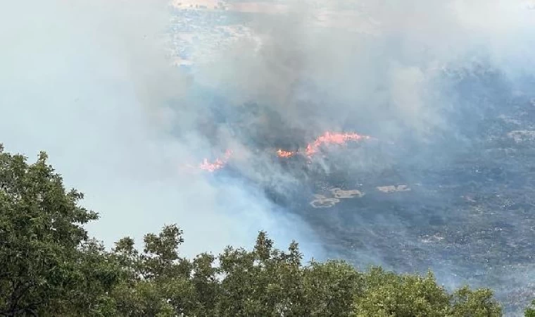 Diyarbakır’daki orman yangını 24 saatte söndürüldü