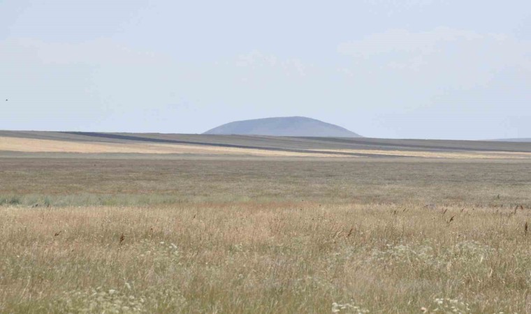 Doğu Anadolunun ilk Ramsar alanıydı