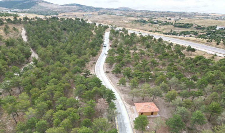 Eko-turizm alanına dönüştürülen Bahabey Çamlığı kullanıma açıldı