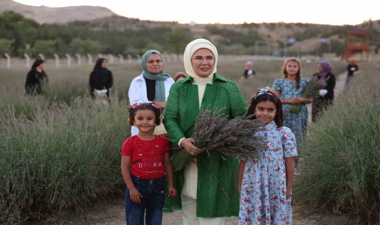 Emine Erdoğan, Ankarada Ekolojik Köy ziyareti ve lavanta hasadı yaptı