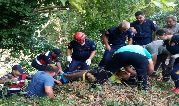 Erdekte orman işçisi dere yatağına düştü