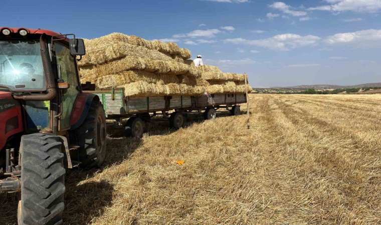 Erzincanda çiftçilerin saman mesaisi başladı