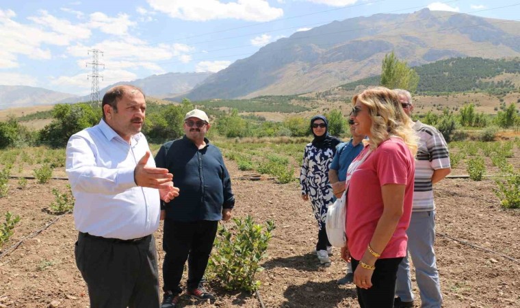 Erzincanda ilaç ve gıda sanayisinde kullanılan aronya yetiştirilmeye başlandı