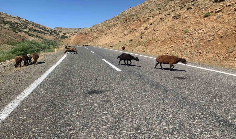 Erzurum Valiliğinden ceza açıklaması