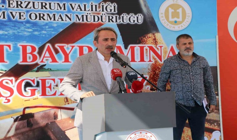 Erzurumda hasat bayramı