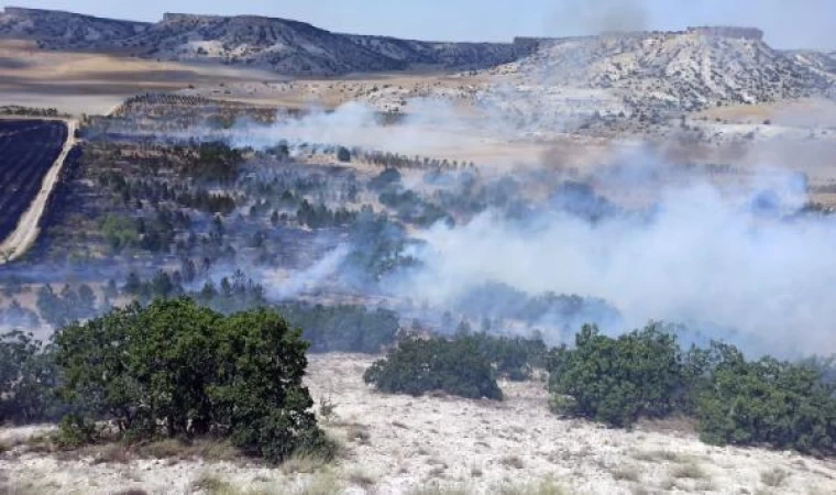 Eskişehir’de 3 orman yangını erken müdahaleyle söndürüldü