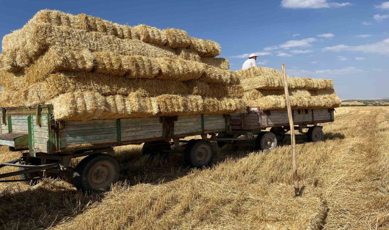 Eskişehirde çiftçilerin saman mesaisi başladı