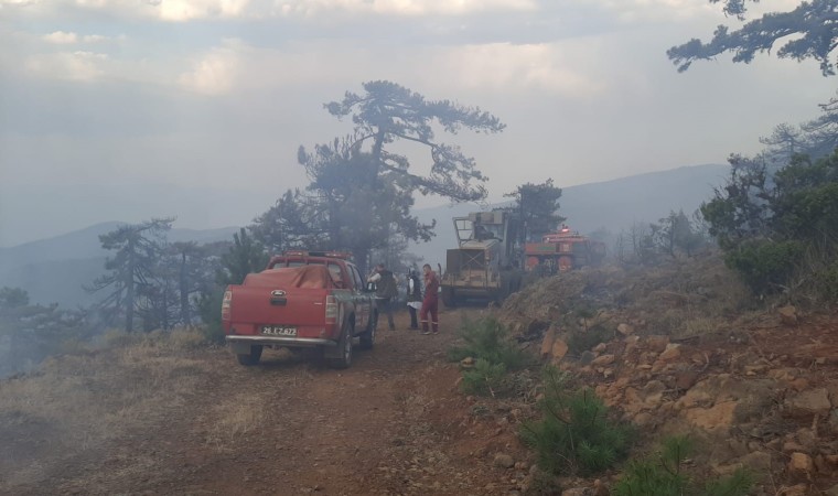 Eskişehirde çıkan orman yangını kontrol altına alındı