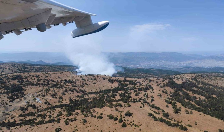 Eskişehirde orman yangını