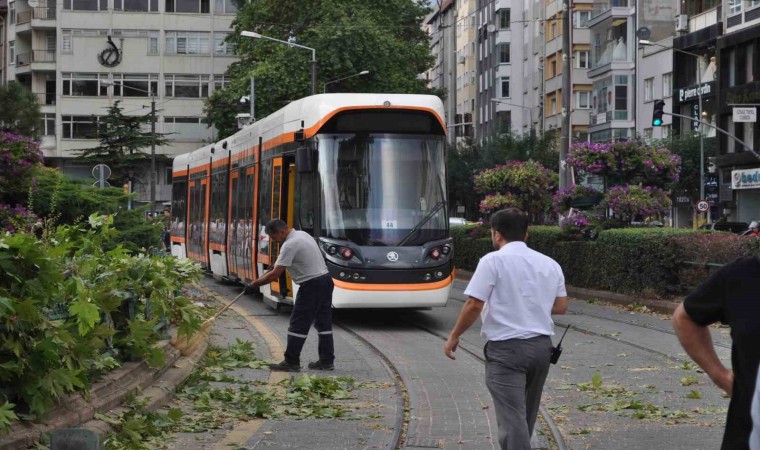 Eskişehirde rüzgarda kırılan dal tramvay seferlerini aksattı