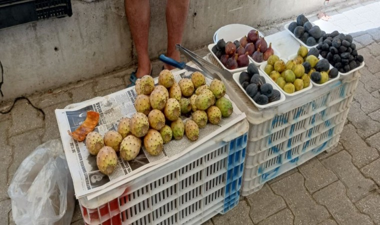 Fethiyede dikenli incir tanesi 10 liradan satılıyor