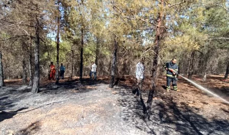 Gaziantep’te piknik alanında çıkan yangın kontrol altına alındı