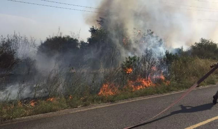 Gebze TÜBİTAK yerleşkesinde orman yangını