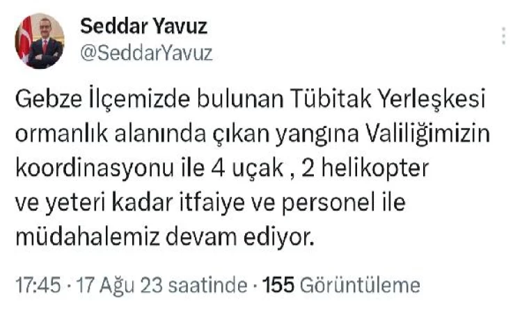 Gebze TÜBİTAK yerleşkesinde orman yangını (2)