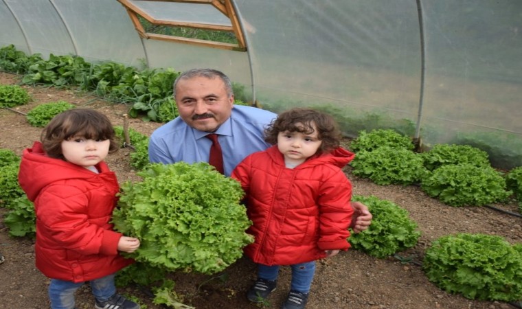 Giresunda Önce Üretim Projesi ilk meyvelerini verdi