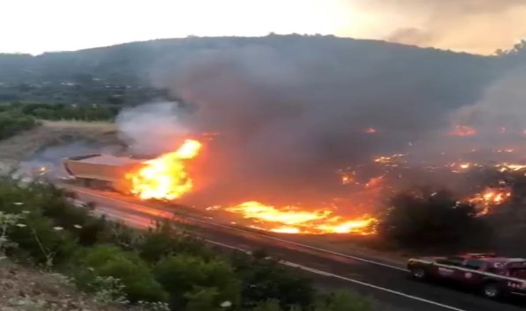 Gördeste kamyonda çıkan yangın ormana sıçradı