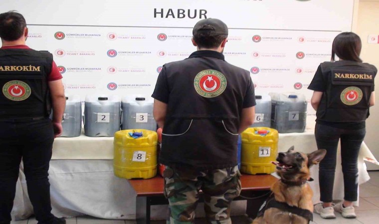 Habur Gümrük Kapısında 245 kilogram metamfetamin yakalandı