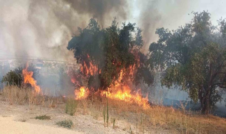 Hatayda 2 farklı noktada meydana gelen yangın, ormanlık alana sıçramadan söndürüldü