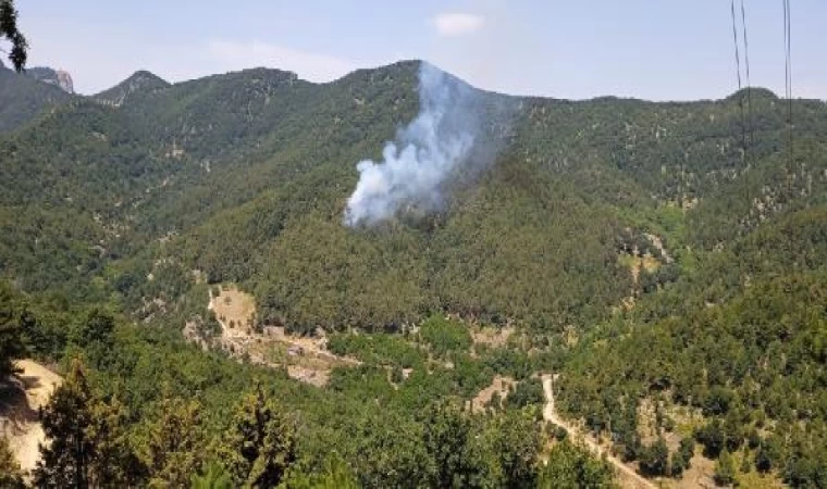 Hatay’da orman yangını