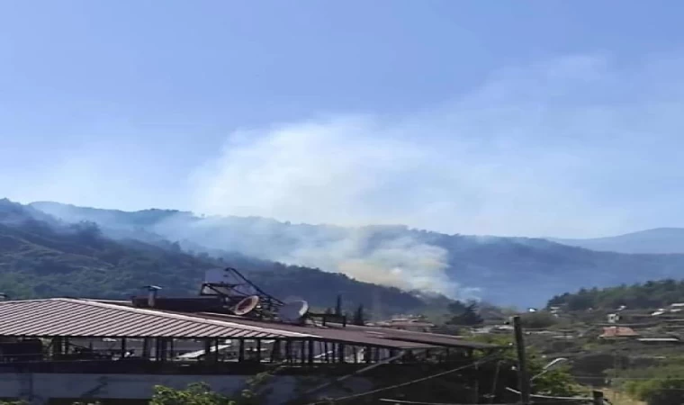 Hatay’da orman yangını (3)