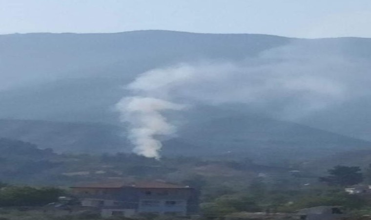 Hatayda orman yangını kısa sürede söndürüldü