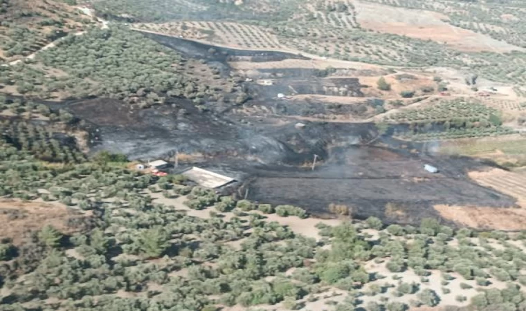 Hatay’da, zeytinlikte çıkan yangın ormana sıçradı (2)