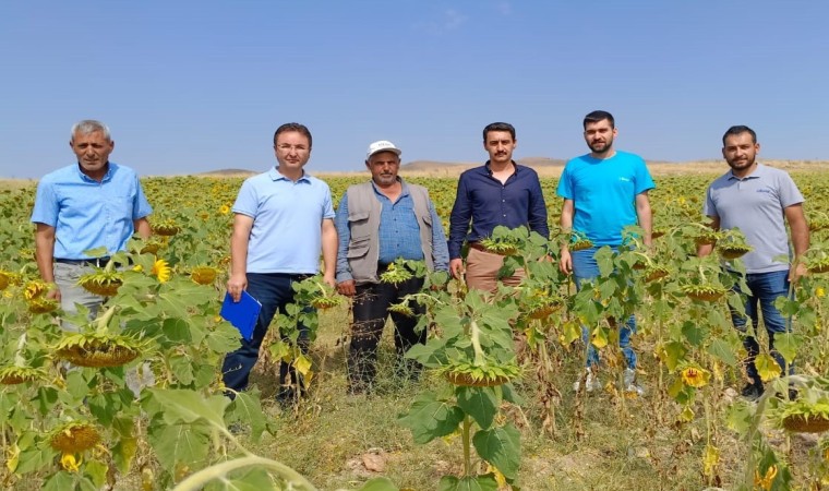 Hibe destekli tohum dağıtımı yapılan arazilerde inceleme yapıldı