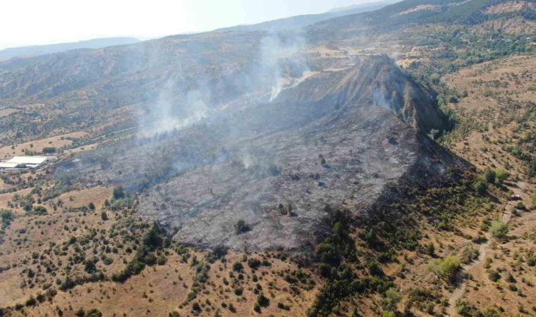 Ilgaz Dağındaki orman yangını kontrol altına alındı: 15 hektar alan küle döndü