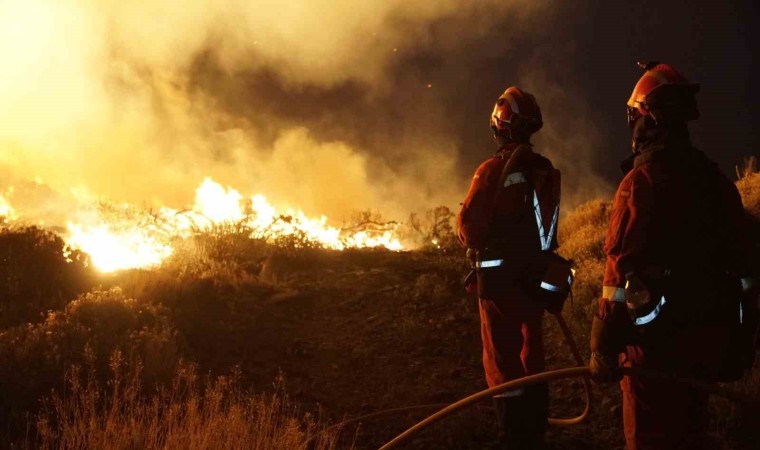 İspanyanın Tenerife Adasında orman yangını: “Kasıtlı olarak çıkarıldı”