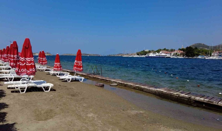 İzmir Foçada turizmi denizanası vurdu, plajlar boş kaldı