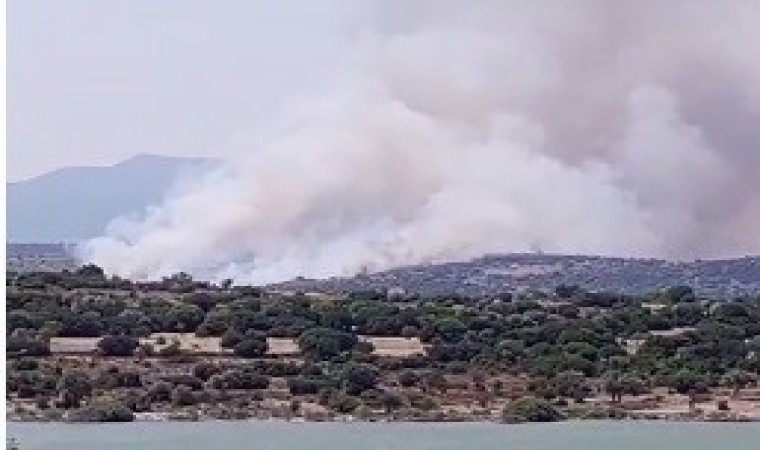 İzmirde makilik alanda yangın