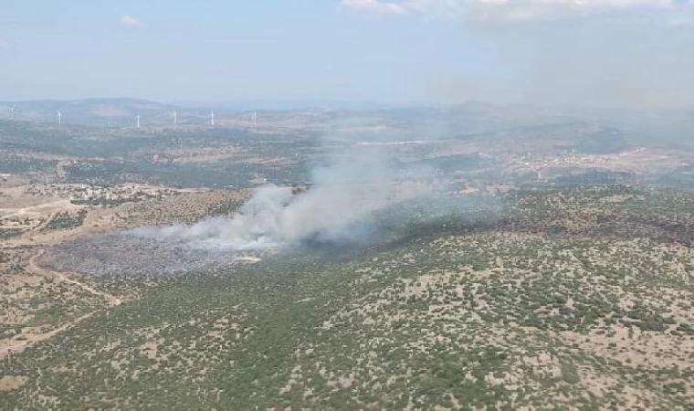 İzmir’de makilik yangını