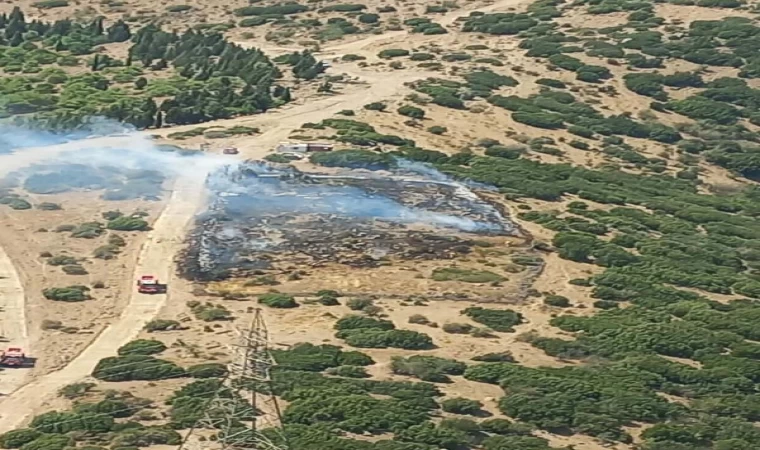 İzmir’de orman yangını, 1 saatte kontrol altına alındı