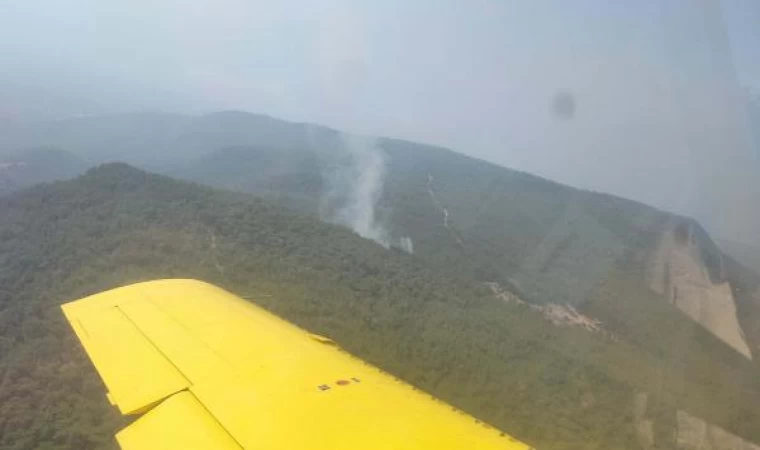 İzmir’de orman yangını