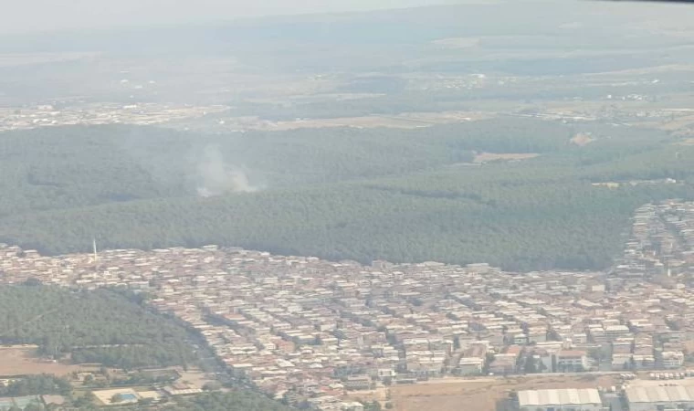 İzmir’de orman yangını