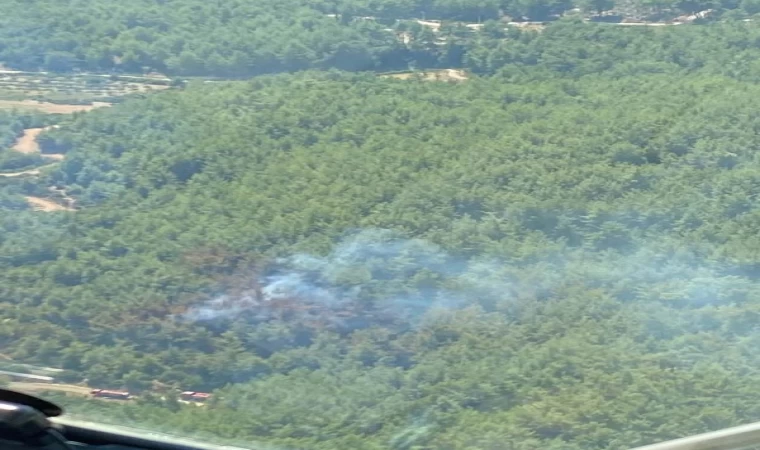 İzmir’de orman yangını