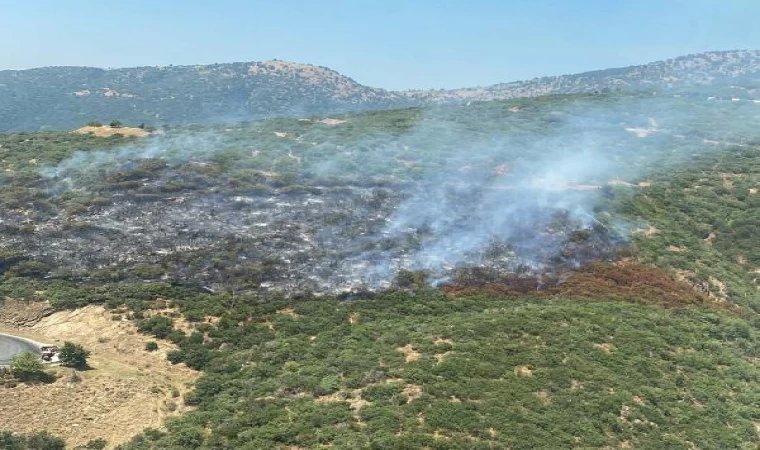 İzmir’de otomobilde çıkan yangın ormana sıçradı