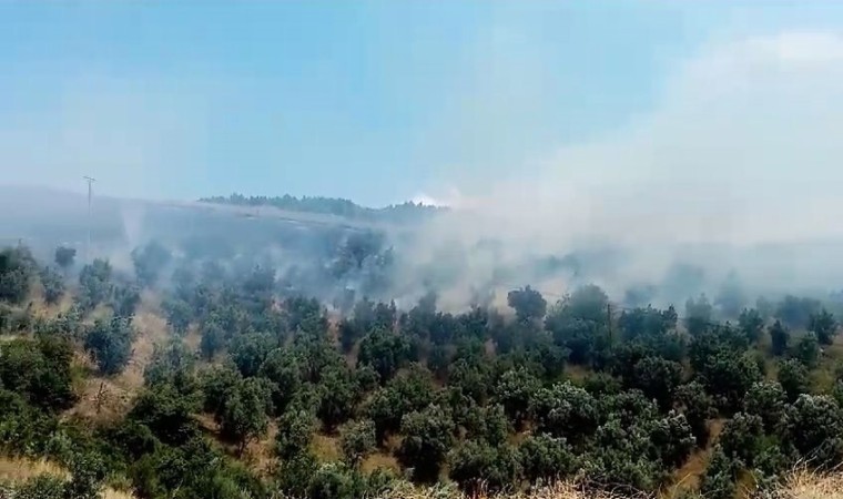 İznikte makilik alanda çıkan yangın söndürüldü