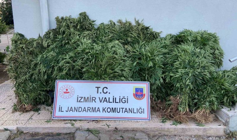 Jandarmadan uyuşturucu tacirlerine geçit yok