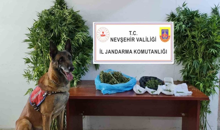 Jandarmadan uyuşturucu tacirlerine geçit yok