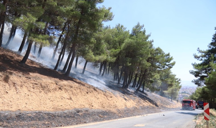 Kahramanmaraştaki orman yangınında bir kişi gözaltına alındı